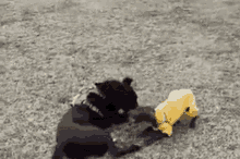 Leave Me Alone Dogs GIF - Leave Me Alone Dogs No GIFs