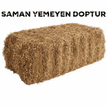 Saman Dop GIF - Saman Dop GIFs