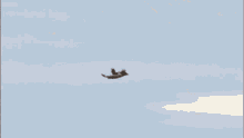 birdcrash.gif
