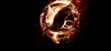 Phoenix Reborn GIF - Phoenix Reborn Hunger Games GIFs