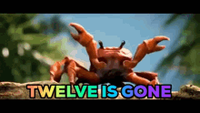 Twelve Is Gone Crab GIF - Twelve Is Gone Crab Dancing GIFs