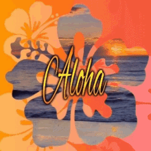 Aloha Hawaiian Sunset Waves GIF - Aloha Hawaiian Sunset Waves Flower GIFs