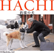 忠犬ハチ公 可愛い犬 柴犬 しば犬 Gif Hachiko Cute Dog Shibaken Discover Share Gifs