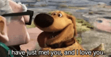 I Have Just Met You And I Love You Funny Animals GIF - I Have Just Met You And I Love You Funny Animals Dogs GIFs