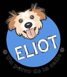 Eliot Perro GIF - Eliot Perro Perro De La Calle GIFs
