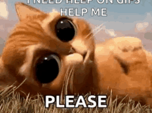 Help Me Please Puss GIF - Help Me Please Puss Puss In Boots GIFs