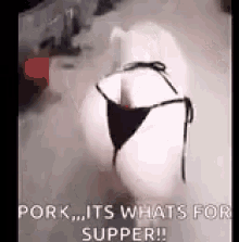 Bikini Pig GIF - Bikini Pig Sexy GIFs