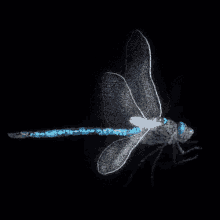 Dragon Flying Gifs Tenor