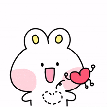 rabbit bunny cute joke gag