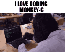 Monkeyc Coding GIF - Monkeyc Coding Monkey GIFs