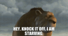 Ice Age Hey Knock It Off I Am Starving GIF - Ice Age Hey Knock It Off I Am Starving Im Starving GIFs