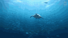swimming turtle nat geo wild underwater sea turtle in the deep ocean just keep swimming swimming turtle nat geo wild underwater sea turtle in the deep ocean just keep swimming