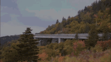 ridge appalachian