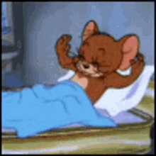sleep sleeping time tom and jerry mouse rat