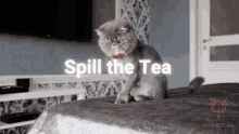 spill the tea spill the tea sis tea gossip tell me