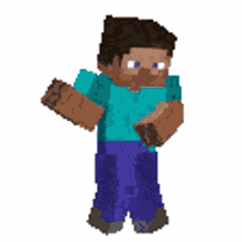 steve jojo steve jojo