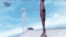 chat blanc lady bug chat noir chat blanc lady bug chat noir