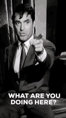 Cary Grant GIF - Cary Grant What GIFs