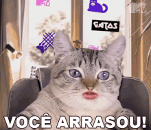 Voce Arrasou Mtv Brasil GIF - Voce Arrasou Mtv Brasil You Nailed It GIFs