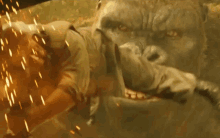 Rawr GIF - Kong Kong Movie King Kong GIFs