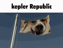 Kepler The Kepler GIF - Kepler The Kepler Kepler Republic GIFs