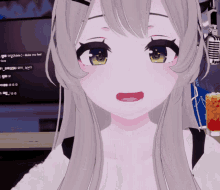 viichan 0206