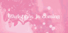 Christmas Is Coming GIF - Christmas Is Coming GIFs