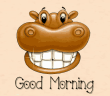 Good Morning Smile GIF - Good Morning Smile Hippo GIFs