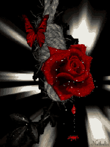 Red Rose Butterfly GIF - Red Rose Butterfly Blood GIFs