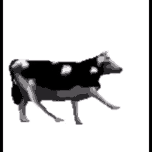Dance Polishcow GIF - Dance Polishcow Cow GIFs