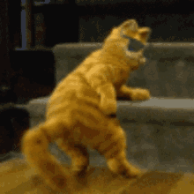 garfield dance moves cat tail