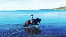 Lake Walk GIF - Horse Horses Equine GIFs