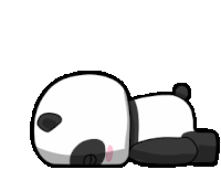 Panda Slide Sticker - Panda Slide Sliding Stickers