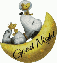 Snoopy Good Night GIF - Snoopy Good Night Time To Sleep GIFs