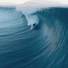 Surfsup Surfing GIF - Surfsup Surfing Wave GIFs