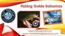 Fishing Guide Bahamas Fishing Trips In Bahamas GIF - Fishing Guide Bahamas Fishing Trips In Bahamas Spearfishing Bahamas GIFs