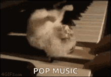 Piano Hamster GIF - Piano Hamster Pop Music GIFs