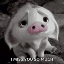 Sweet I Miss You So Much GIF - Sweet I Miss You So Much Dog GIFs