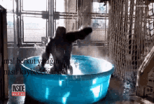 Berkut Gorilla GIF - Berkut Gorilla Yatak GIFs