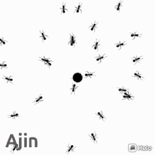 Urumb Ants GIF - Urumb Ants Black Dot GIFs