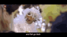ylvis the fox fish go blub mv ylvis the fox fish go blub mv