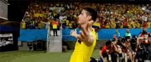 James Rodriguez Selección Colombia GIF - Futbol Soccer James Rodriguez GIFs