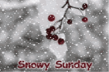 Snowy Sunday GIF - Snowy Sunday GIFs