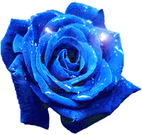 rosas-rose.gif