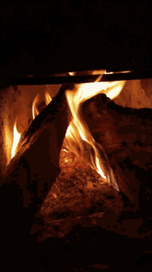 fuego fire