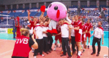 Siatkowka Siatkarski Gif GIF - Siatkowka Siatkarski Gif Volley GIFs