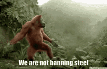 Steel We Are Not Banning Steel GIF - Steel We Are Not Banning Steel Rgl GIFs