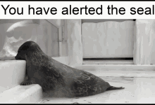 alert seal