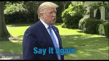 Donald Trump Say What GIF - Donald Trump Say What Come Again GIFs