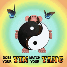 Yin Yang Monkey GIF - Yin Yang Monkey Butterflies GIFs